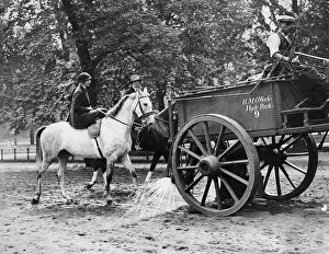 Parkway: Watering of the riding path in the London