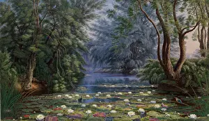 Bodycolour: Waterlilies in the Cherwell