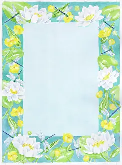 Dragonflies: Waterlilies, Kingcups and Dragonflies