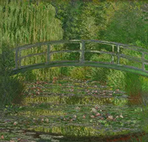 Bassin: Waterlily Pond - Green Harmony