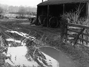 Waterlogged: WATERLOGGED FARMYARD
