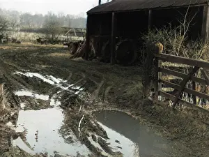 Waterlogged: WATERLOGGED FARMYARD