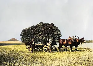 Oncolourisedpic: WATERLOO BATTLEFIELD