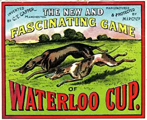 Copy1: Waterloo Cup game