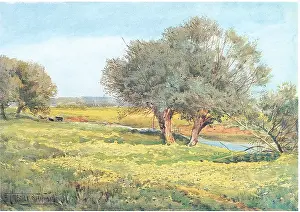 Stannard: The watermeadows