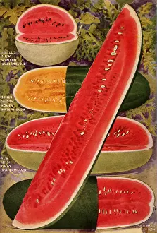 Watermelon: Watermelons