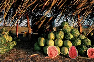 Watermelons: Watermelons for sale