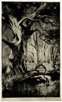 Gnarled: The Water's Edge