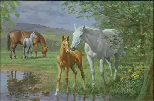 At the Water's Edge - mares and foals