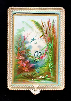Dragonflies: Waterside scene with birds on a greetings card