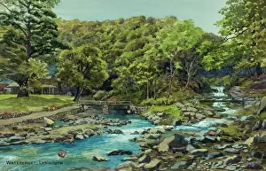 Watersmeet: Watersmeet, Lynmouth, Devon