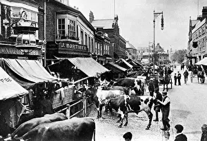 Watford: Watford Market Day