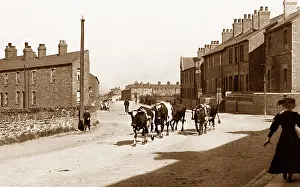 Wombwell: Wath Road, Wombwell