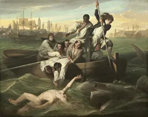 Anglo American: Watson and the Shark