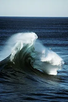 Froth: Wave and Seagull Cape Kiwanda Oregon USA