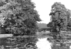 Waverley: Waverley, Abbey Bridge 1895