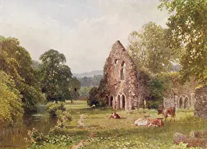 Waverley: WAVERLEY ABBEY/SURREY
