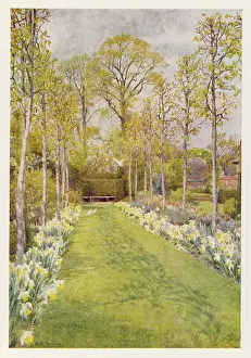Pinner: WAXWELL FARM GARDEN 1908