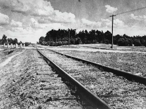 Shoa: This way led to Treblinka - Here passed