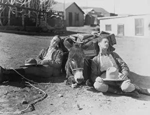 Dozing: WAYFARERS