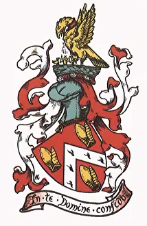 Chevron: Wayne Crest