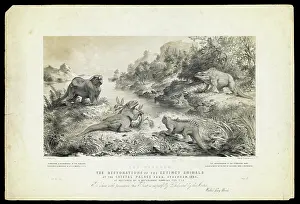 Megalosaurus: The Wealden, restorations, Crystal Palace Park