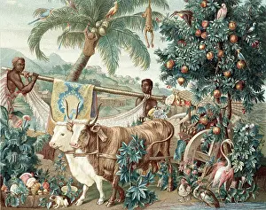 Exploitation: Wealth of the Indies. 17th century design for