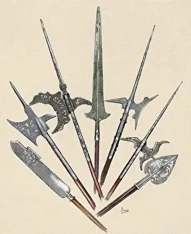 Halberd: Weapons. Halberds and spearhead. Colored engraving