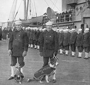 Paraded: Wearing the chevrons of honor for services overseas