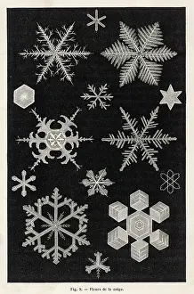 Snowflake: Weather: snow crystals or snowflakes