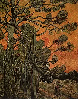 Weatherbeaten: Weatherbeaten Pine Trees, by Van Gogh