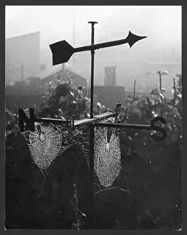 Weathervane: WEATHERVANE & WEB