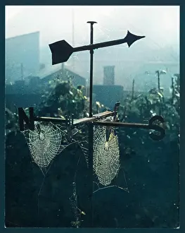 Weathervane: WEATHERVANE & WEB