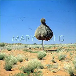 Kalahari: WEAVER BIRD'S NEST