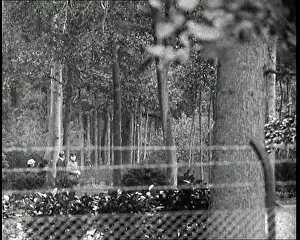 Doorn: Wedding Of Former Kaiser Wilhelm II