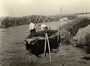 Anglia: Weeding on the Norfolk Broads