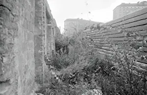 Dismal: Weeds growing by the Berlin Wall, Berlin, Germany