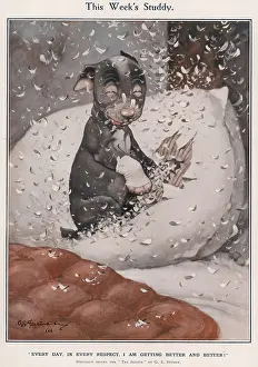 Eiderdown: This Week's Studdy - (Pillow)