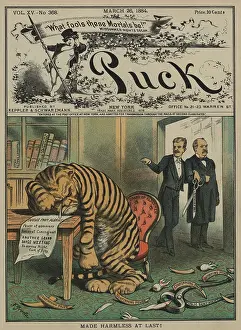 2 People: Weeping Tammany Tiger with the face of NYC Democratic