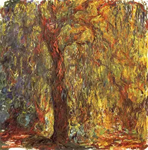 Burden: Weeping Willow, by Monet