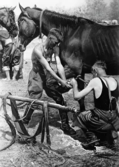 Farrier: Wehrmacht field forge on the Eastern Front, 1942