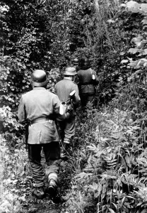 Irregular: Wehrmacht fighting partisans on the Eastern Front, 1942