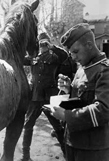 Krasnoye: Wehrmacht soldiers on the Eastern Front, 1942
