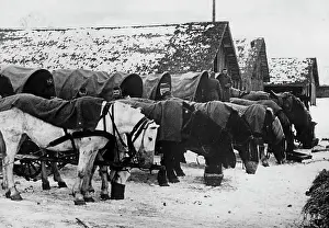 Blankets: Wehrmacht supply wagon on the Eastern Front, 1941