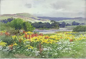 Haslehust: On the Weir, County Durham