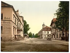 Hirsch: Weisser Hirsch, Saxony, Germany
