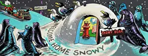 Igloo: Welcome Home Snowy