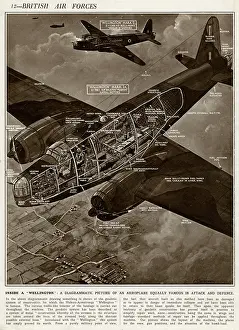 Diagrammatic: Two Wellington bombers by G. H. Davis