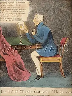 WELLINGTON CARTOON