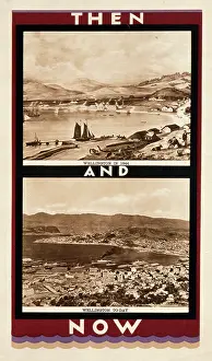 Urbanisation: Wellington poster